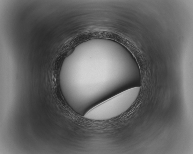 X0000116431013200912081216