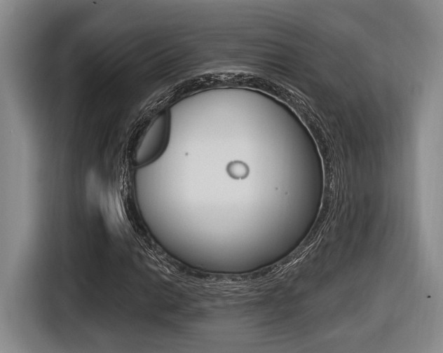 X0000116431014200912081216