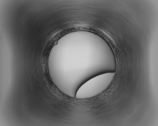 X0000116431015200912081216