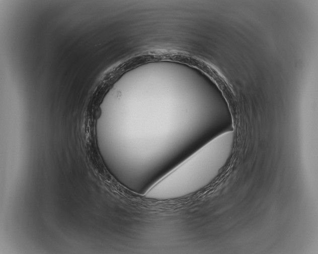 X0000116431016200912081216