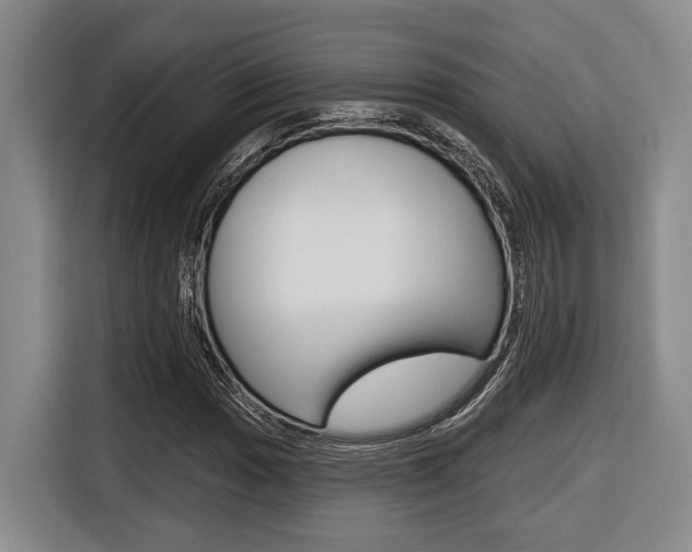 X0000116431017200912081216