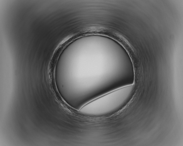 X0000116431018200912081216