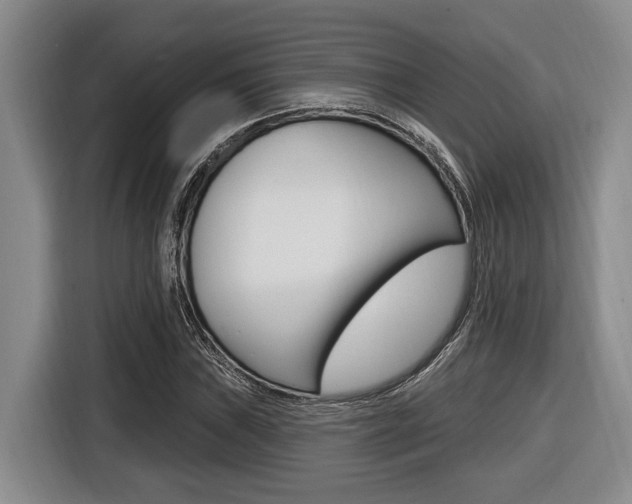 X0000116431019200912081216