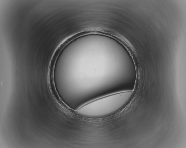 X0000116431020200912081216
