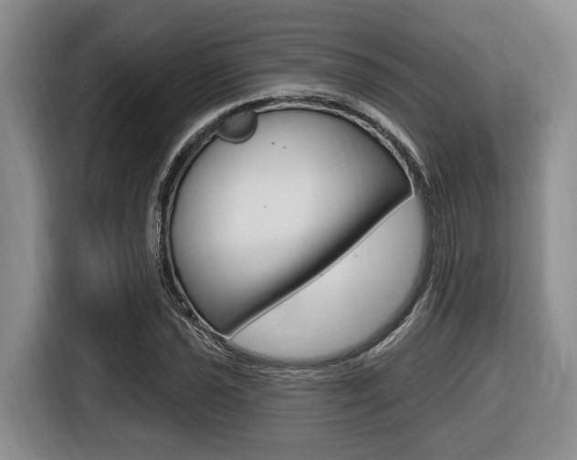 X0000116431021200912081216