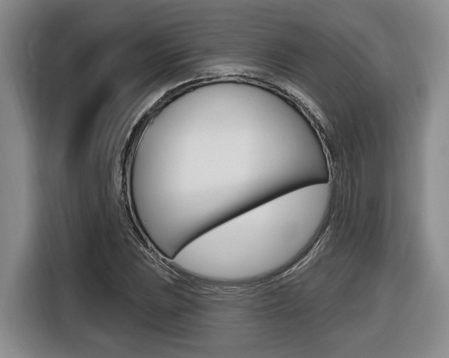 X0000116431023200912081216