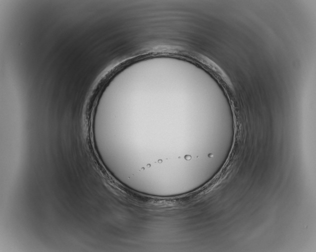 X0000116431027200912081216
