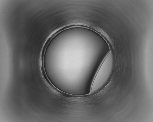 X0000116431028200912081216
