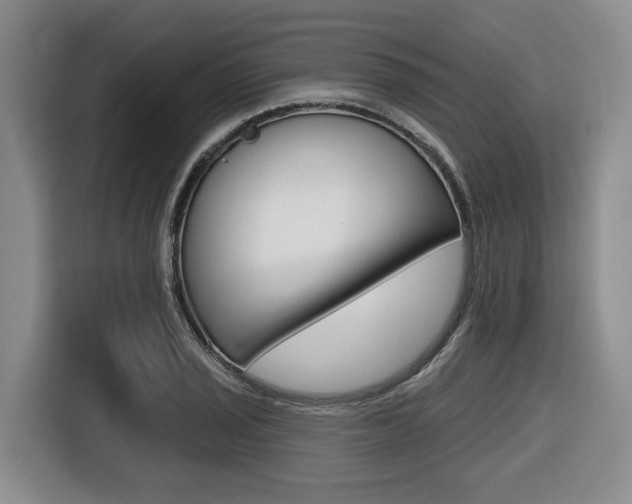X0000116431029200912081216