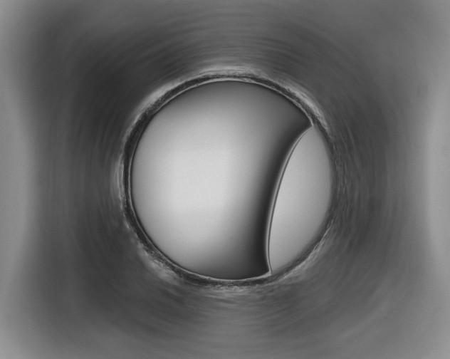 X0000116431030200912081216
