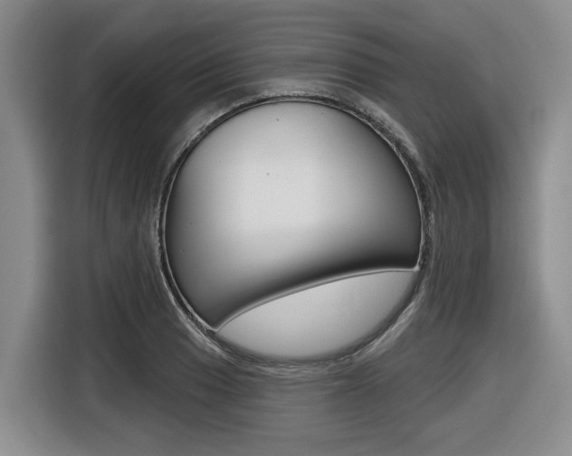 X0000116431033200912081216
