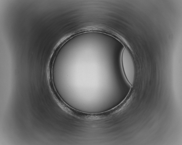 X0000116431034200912081216