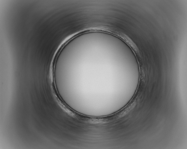 X0000116431036200912081216