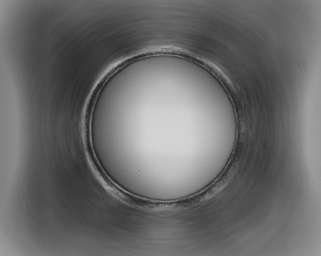 X0000116431038200912081216