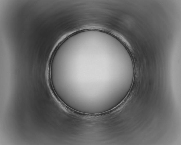 X0000116431040200912081216