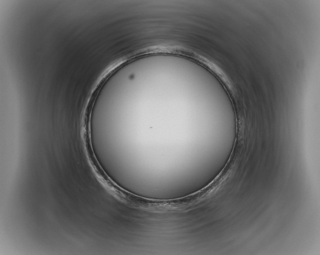 X0000116431042200912081216
