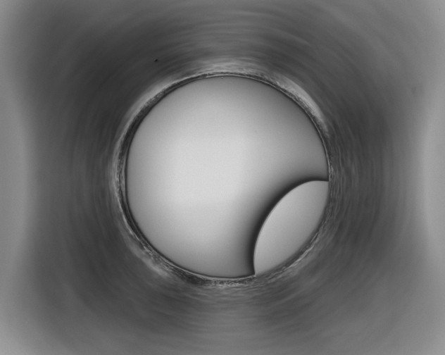 X0000116431043200912081216