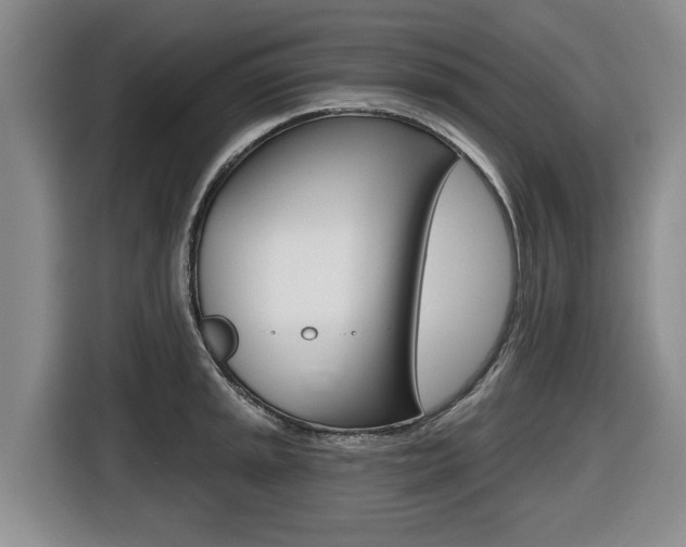 X0000116431045200912081216