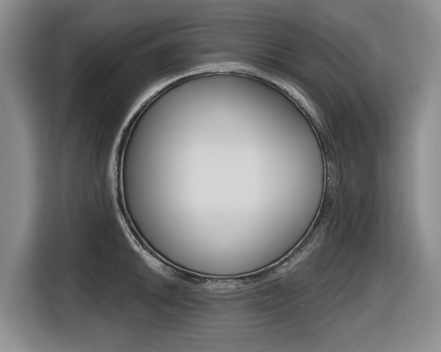 X0000116431046200912081216