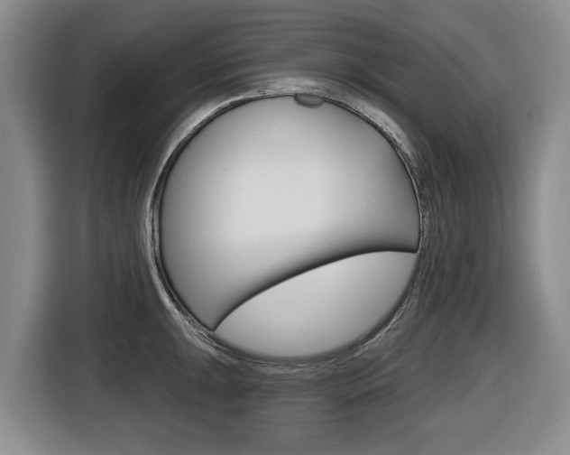 X0000116431047200912081216
