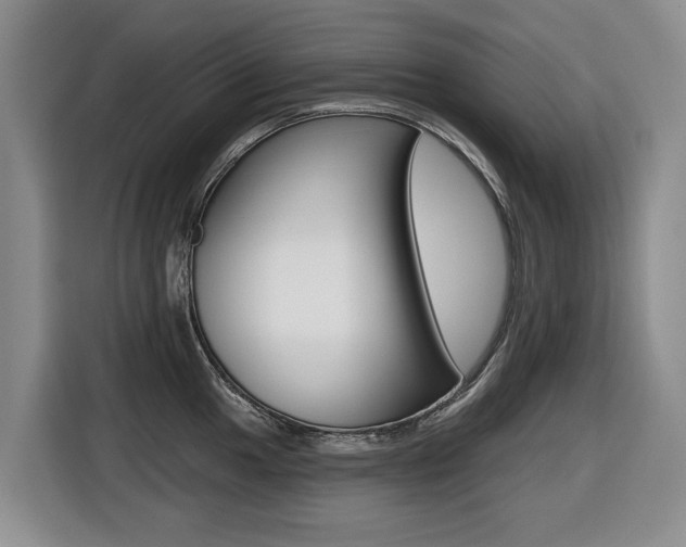 X0000116431049200912081216