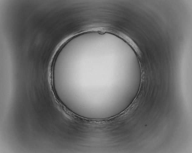 X0000116431051200912081216