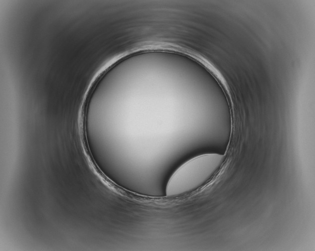 X0000116431053200912081216