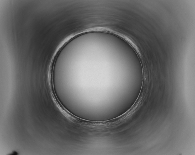 X0000116431054200912081216