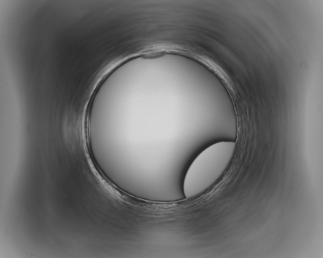 X0000116431055200912081217