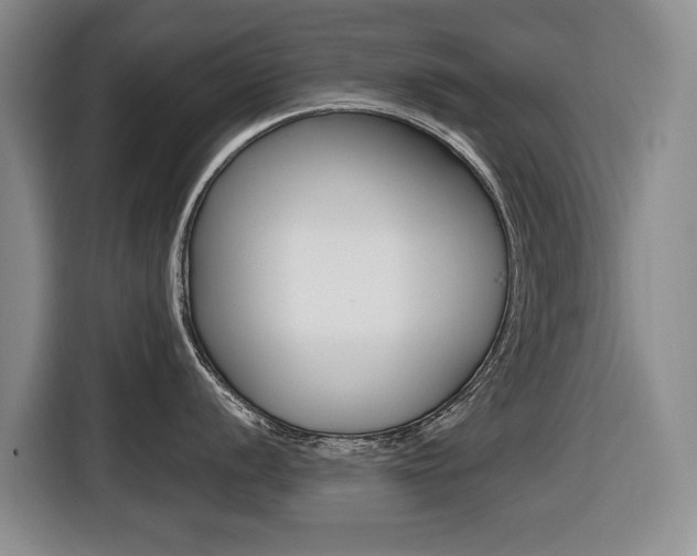 X0000116431056200912081217