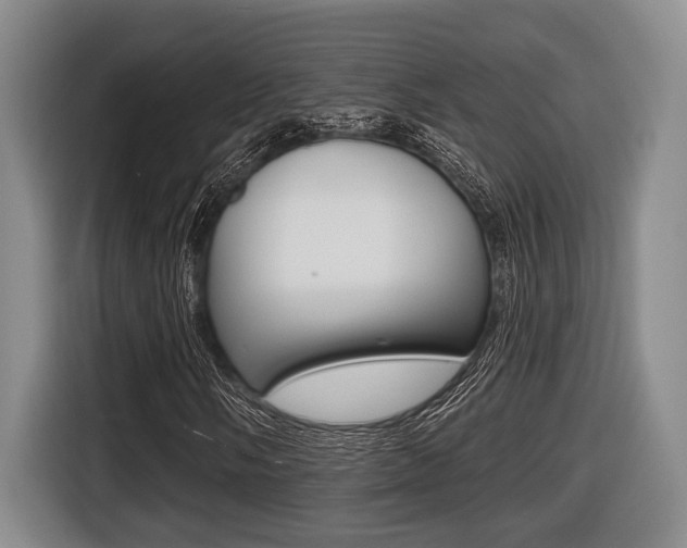 X0000116431058200912081216