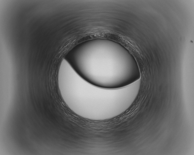 X0000116431060200912081216