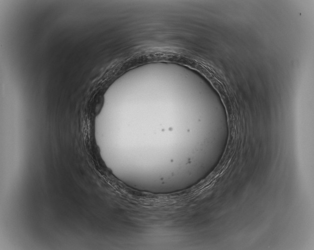 X0000116431061200912081216