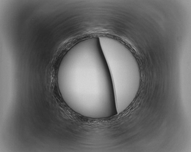 X0000116431063200912081216