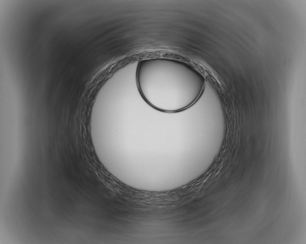 X0000116431064200912081216