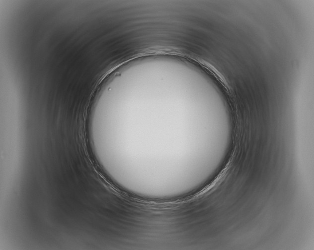 X0000116431065200912081216