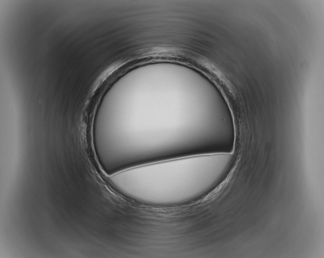 X0000116431066200912081216