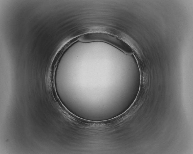 X0000116431068200912081216