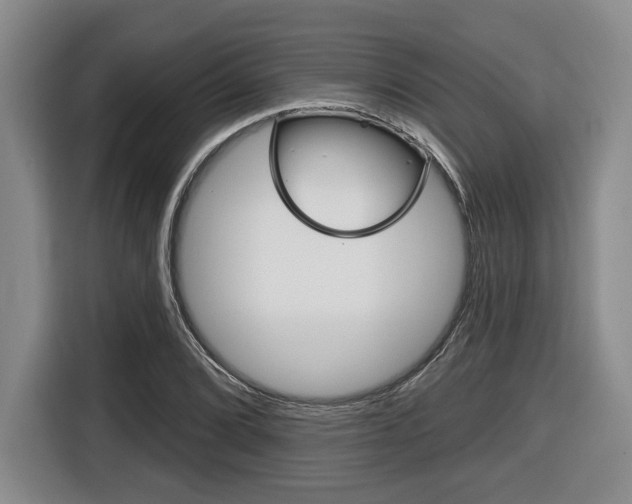X0000116431072200912081216
