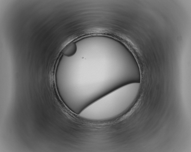 X0000116431073200912081216