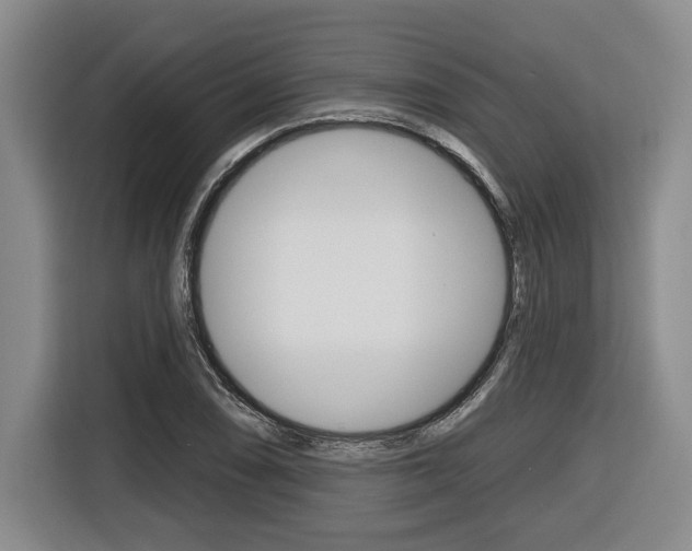 X0000116431074200912081216