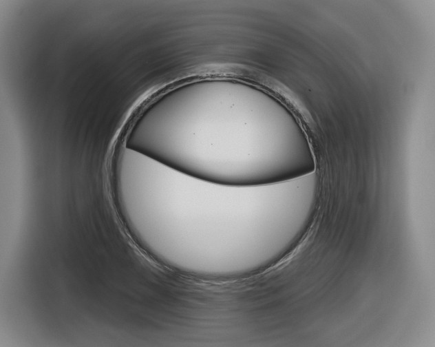 X0000116431075200912081216