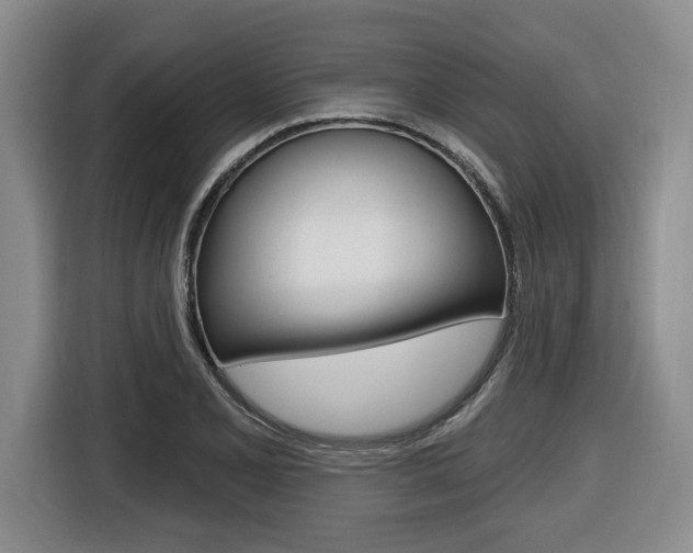 X0000116431077200912081216