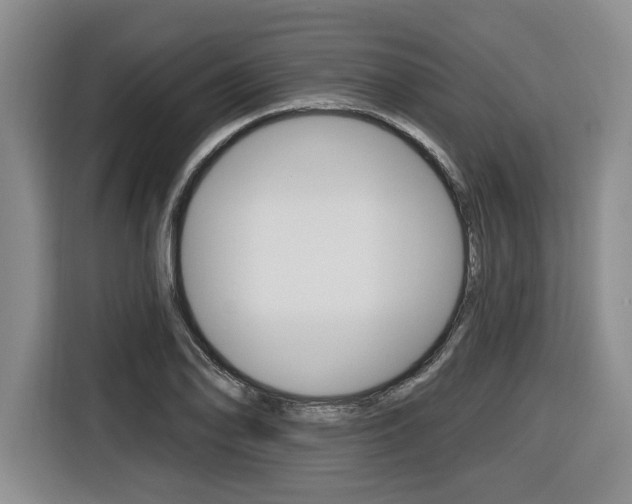 X0000116431078200912081216