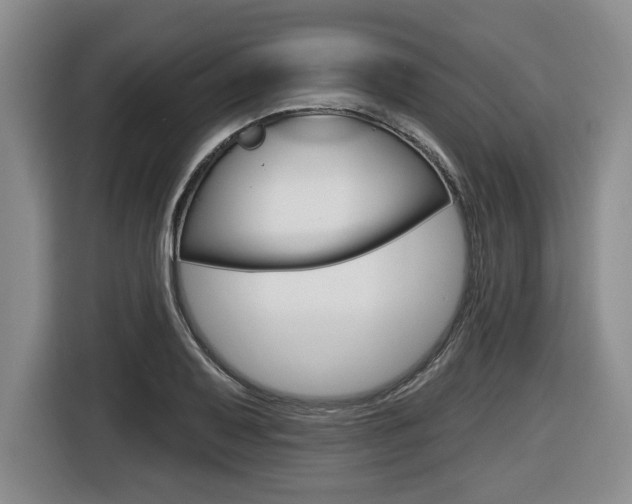 X0000116431079200912081216