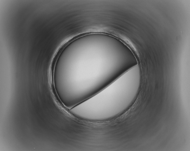 X0000116431080200912081216
