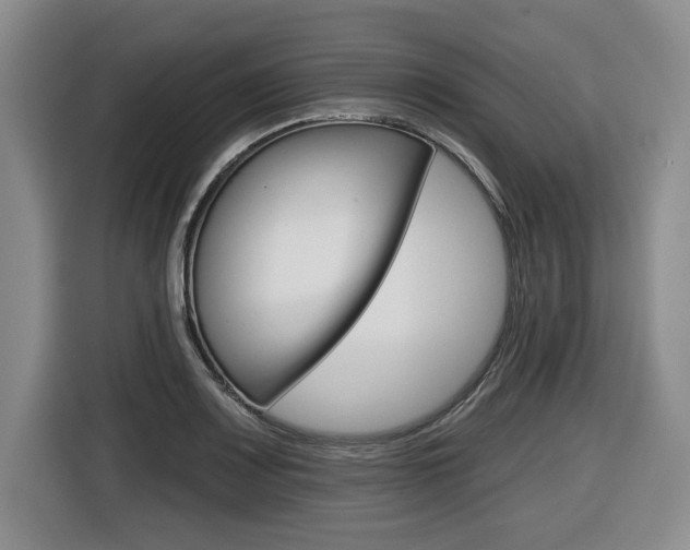 X0000116431083200912081216