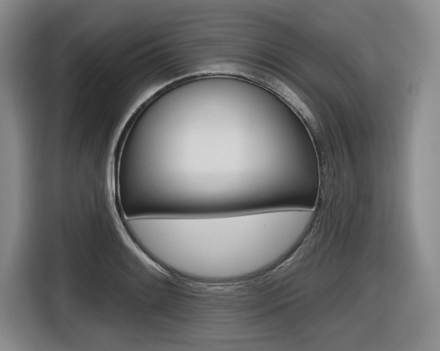 X0000116431084200912081216