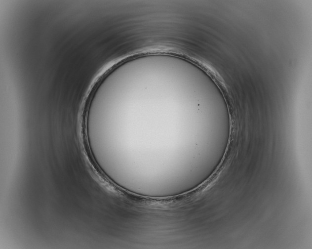 X0000116431086200912081216