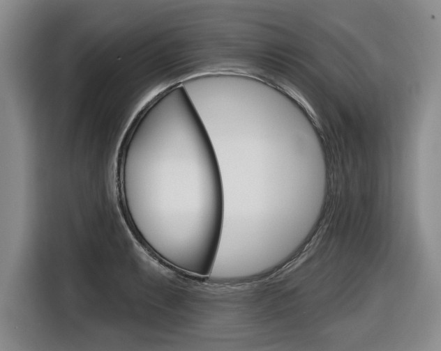 X0000116431087200912081216